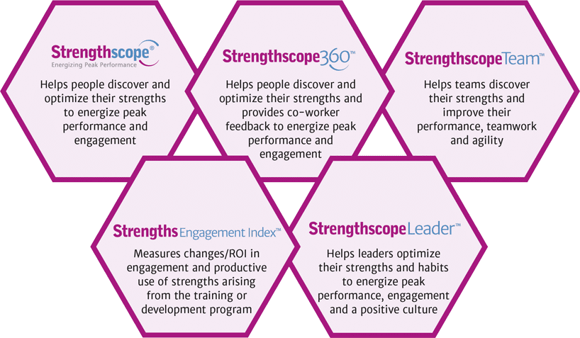 Strengthscope system for strengths-based coaching