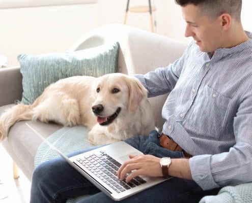 man laptop dog leading virtual teams