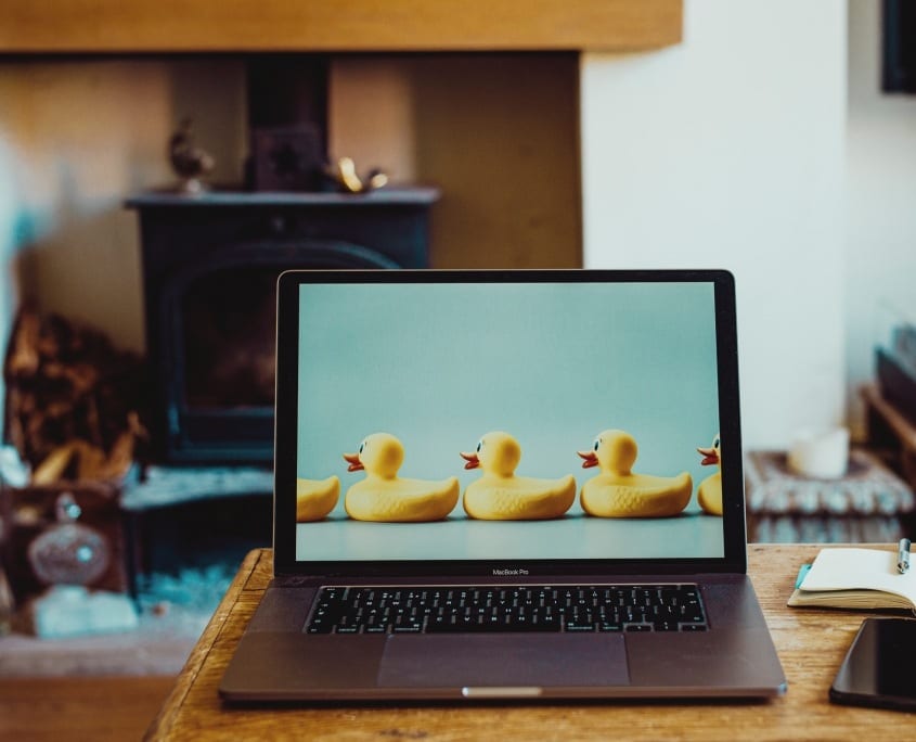 ducks on laptop performance conversations